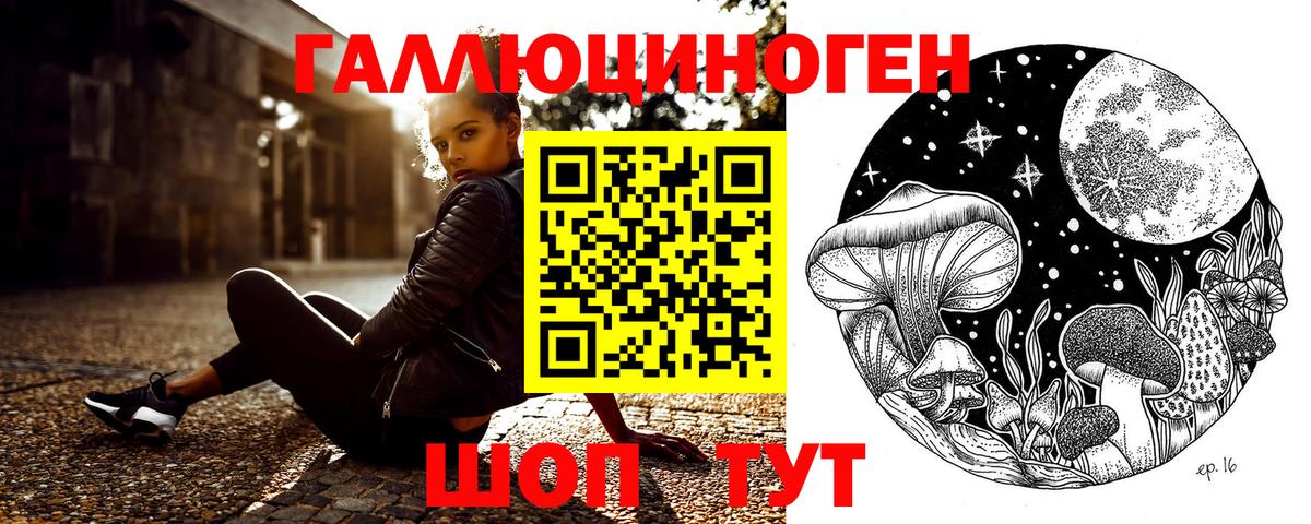 Богородск  закладки  Вход с VPN  Псилоцибиновые грибы ЛСД  Галлюциногенные грибы MAGIC MUSHROOMS 
