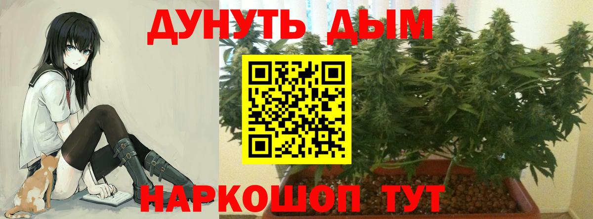 Богородск  Канабис план  Вход с VPN  Бошки Шишки SATIVA & INDICA  Конопля тримм 